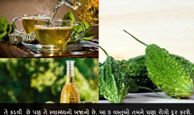 તે કડવી  છે પણ તે સ્વાસ્થ્યનો ખજાનો છે. આ 5 વસ્તુઓ તમને ઘણા રોગો દૂર કરશે.