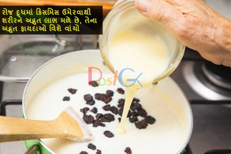 રોજ દૂધમાં કિસમિસ ઉમેરવાથી શરીરને અદ્ભુત લાભ મળે છે, તેના અદ્ભુત ફાયદાઓ વિશે વાંચો
