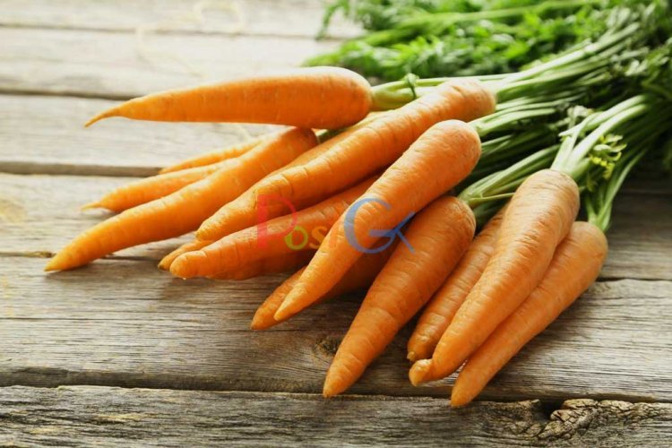 તમે ગાજર ખાશો પણ શું તમે તેના સુવર્ણ લાભ વિશે જાણો છો?
