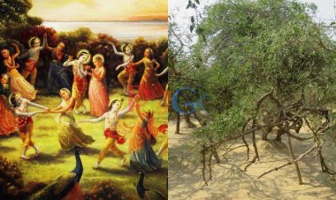 हर रात इस जगह पर खेलती है कृष्ण, राधा और गोपियों के साथ रासलीला, हो जाता है दीवाना!