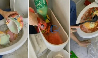 इस युवती ने टॉयलेट टब के अंदर बनाया पार्टी ड्रिंक, वीडियो देख लोगों के होश उड़ गए, कहा ऐसा क्यों किया, देखें वीडियो