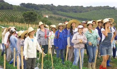 ये हैं शादी के लिए तरस रही युवतियां,पुरुसो की अछत यह एक बार यहां जाने जैसा है... पता करें कि यह कहां से आया है