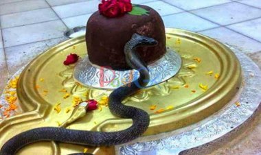 इस चमत्कार से वैज्ञानिक भी खफा हैं: इस मंदिर में नाग देवता शिवलिंग को लपेटकर उसकी पूजा करते हैं।