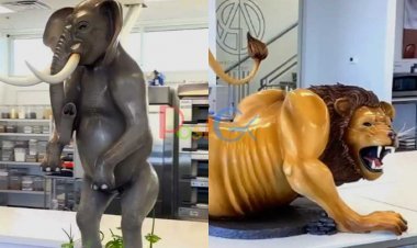 यह भाई चॉक्लेट मेसे बनाते है जानवरो और ऐसी चीजे बनाता है जो आपके मुँह में लार टपका देगी