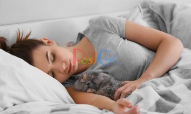 एक बिल्ली ने महिला को किया गर्भवती, पति ने बताया रात का पूरा किस्सा