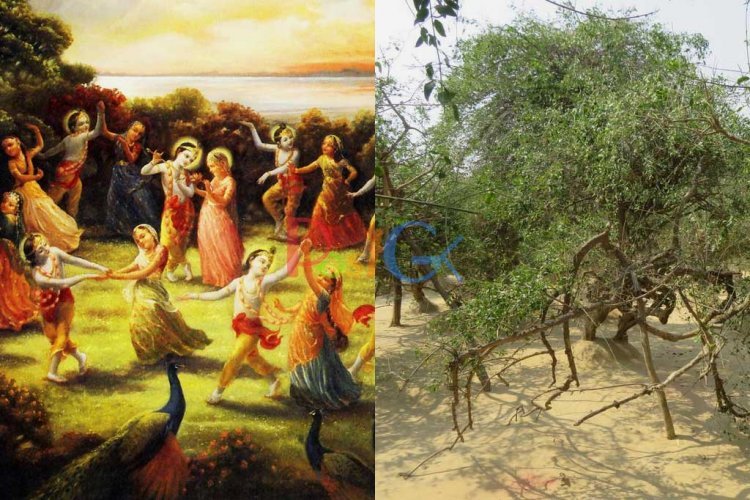 हर रात इस जगह पर खेलती है कृष्ण, राधा और गोपियों के साथ रासलीला, हो जाता है दीवाना!