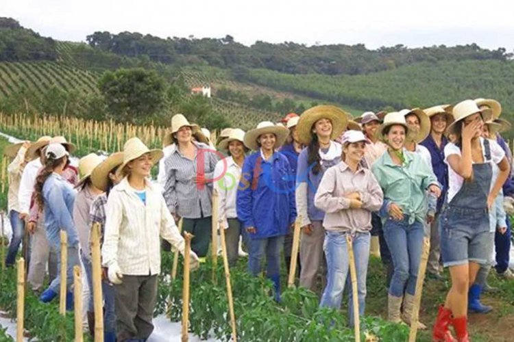 ये हैं शादी के लिए तरस रही युवतियां,पुरुसो की अछत यह एक बार यहां जाने जैसा है... पता करें कि यह कहां से आया है