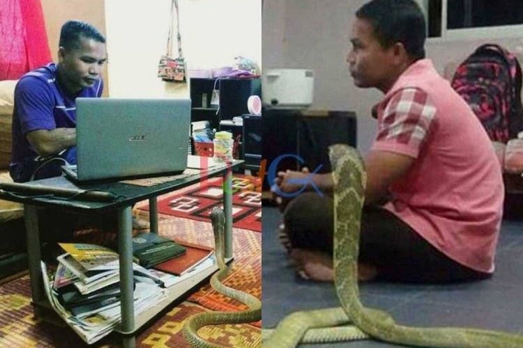 पिछले जन्म का प्यार बता इस शख्स ने नागन से की शादी, सोशल मीडिया पर वायरल हुई प्रेम कहानी