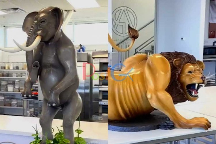 यह भाई चॉक्लेट मेसे बनाते है जानवरो और ऐसी चीजे बनाता है जो आपके मुँह में लार टपका देगी