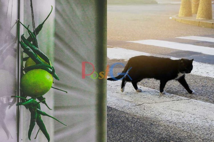 अगर आप अंधविश्वास को नहीं मानते हैं तो भी इसके पीछे एक तर्क है - जानिए लेख में