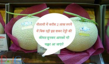 नीलामी में करीब 2 लाख रुपये में बिक रही इस शकर टेट्टी की कीमत सुनकर आपको भी चक्कर आ जाएंगे