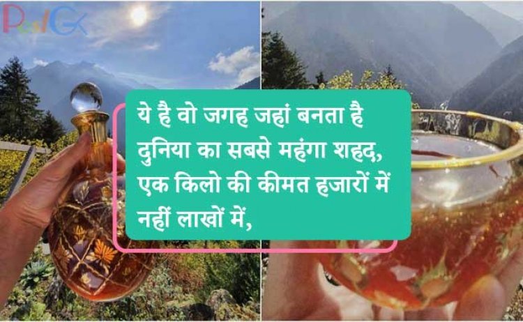 ये है वो जगह जहां बनता है दुनिया का सबसे महंगा शहद, एक किलो की कीमत हजारों में नहीं लाखों में, जानिए क्या है उस शहद में खास?