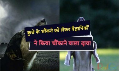 कुत्ते के भौंकने को लेकर वैज्ञानिकों ने किया चौंकाने वाला दावा
