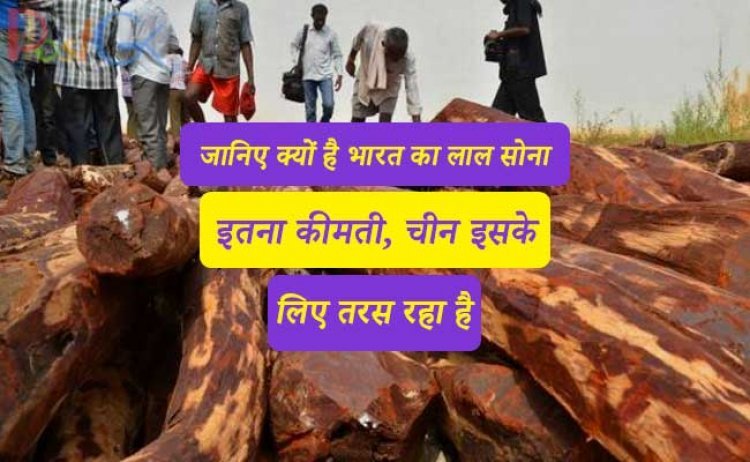 जानिए क्यों है भारत का लाल सोना इतना कीमती, चीन इसके लिए तरस रहा है