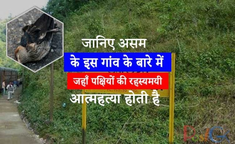 जानिए असम के इस गांव के बारे में जहाँ पक्षियों की रहस्यमयी आत्महत्या होती है .