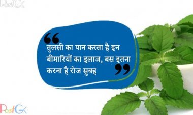 तुलसी का पान करता है इन बीमारियों का इलाज, बस इतना करना है रोज सुबह