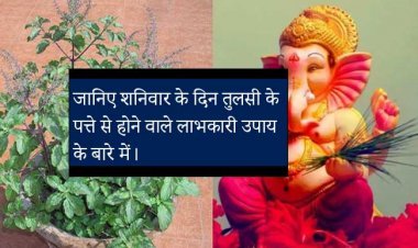 जानिए शनिवार के दिन तुलसी के पत्ते  से होने वाले लाभकारी उपाय के बारे में।