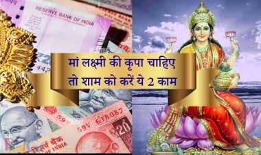 मां लक्ष्मी की कृपा चाहिए तो शाम को करें ये 2 काम