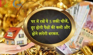 घर में रखें ये 5 लकी चीजें, दूर होगी पैसों की कमी और होने लगेगी बरकत