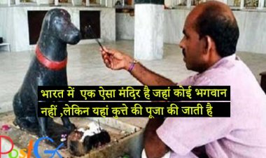भारत में  एक ऐसा मंदिर है जहां कोई भगवान नहीं ,लेकिन यहां कुत्ते की पूजा की जाती है