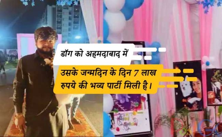 डॉग को अहमदाबाद में उसके जन्मदिन के दिन  7 लाख रुपये की भव्य पार्टी मिली है।