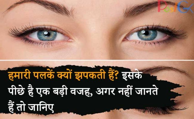 हमारी पलकें क्यों झपकती हैं? इसके पीछे है एक बड़ी वजह, अगर नहीं जानते हैं तो जानिए