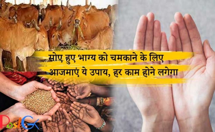 सोए हुए भाग्य को चमकाने के लिए आजमाएं ये उपाय, हर काम होने लगेगा