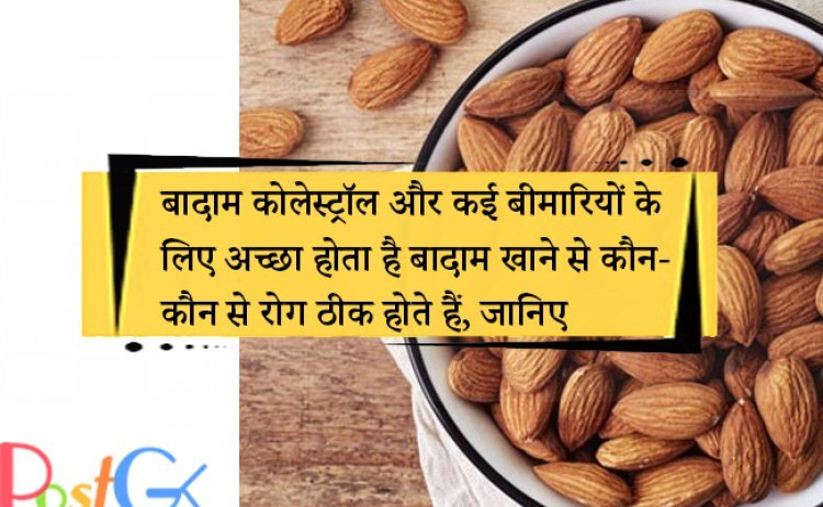 बादाम कोलेस्ट्रॉल और कई बीमारियों के लिए अच्छा होता है बादाम खाने से कौन-कौन से रोग ठीक होते हैं, जानिए