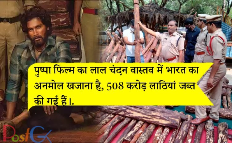 पुष्पा फिल्म का लाल चंदन वास्तव में भारत का अनमोल खजाना है, 508 करोड़ लाठियां जब्त की गई हैं।