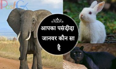 आपका पसंदीदा जानवर कौन सा है आपकी पसंद आपको आपकी सबसे बड़ी ताकत और आपकी सबसे बड़ी कमजोरियों के बारे में बताएगी