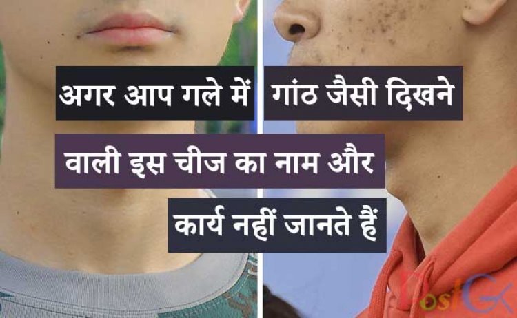 अगर आप गले में गांठ जैसी दिखने वाली इस चीज का नाम और कार्य नहीं जानते हैं, तो अगर आप जानते हैं तो आप कहेंगे कि यह सबसे उपयोगी चीज है।