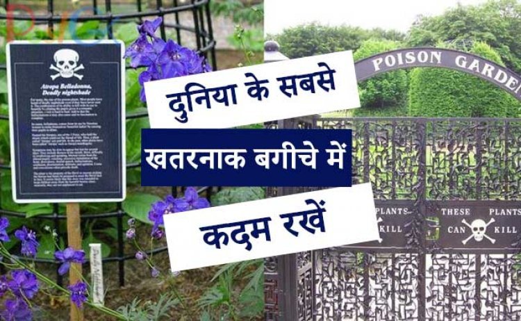 दुनिया के सबसे खतरनाक बगीचे में कदम रखें