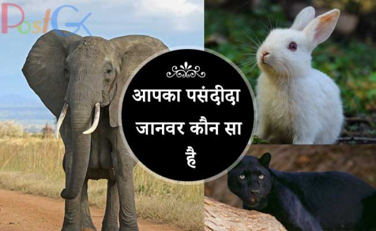 आपका पसंदीदा जानवर कौन सा है आपकी पसंद आपको आपकी सबसे बड़ी ताकत और आपकी सबसे बड़ी कमजोरियों के बारे में बताएगी