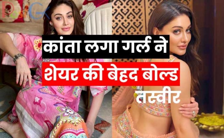 कांता लगा गर्ल ने शेयर की बेहद बोल्ड तस्वीर, मेश टॉप में बेहद बोल्ड पिक्स ने सबको दिखा दिया