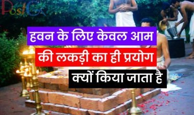 हवन के लिए केवल आम की लकड़ी का ही प्रयोग क्यों किया जाता है? हवन बहुत से लोग करते हैं लेकिन असली कारण कम ही लोग जानते हैं