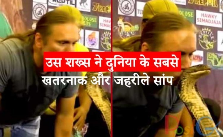 उस शख्स ने दुनिया के सबसे खतरनाक और जहरीले सांप किंग कोबरा को किस किया और सांप ने सूंघ लिया और फिर... देखें वीडियो