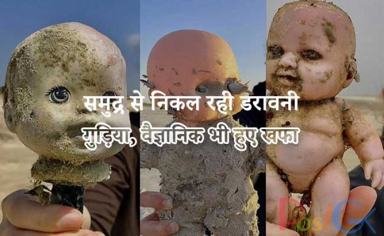 समुद्र से निकल रही डरावनी गुड़िया, वैज्ञानिक भी हुए खफा, जानिए पूरा मामला