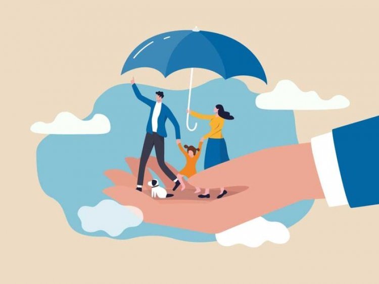 Navigating the Insurance Maze: Choosing the Best Insurance Scheme